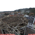 18_40-nest.jpg