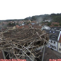 18_45-nest.jpg