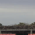 18_50-mast.jpg