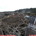 18_50-nest.jpg