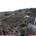18_55-nest.jpg