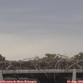 19_00-mast.jpg