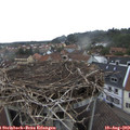 19_00-nest.jpg