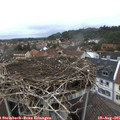 06_30-nest.jpg