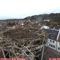 06_35-nest.jpg