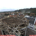 06_40-nest.jpg