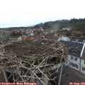 06_45-nest.jpg