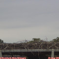 06_50-mast.jpg