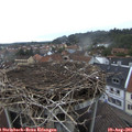 06_50-nest.jpg
