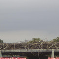 06_55-mast.jpg
