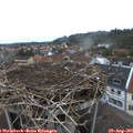 06_55-nest.jpg