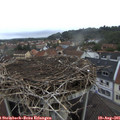07_00-nest.jpg