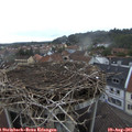 07_05-nest.jpg