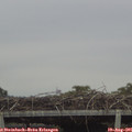 07_10-mast.jpg
