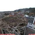 07_10-nest.jpg