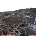 07_15-nest.jpg