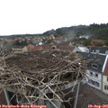 07_20-nest.jpg