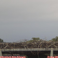07_25-mast.jpg