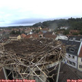 07_35-nest.jpg