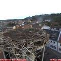 07_40-nest.jpg