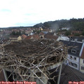 07_45-nest.jpg