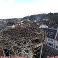 07_55-nest.jpg