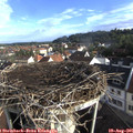 08_00-nest.jpg