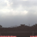 08_05-mast.jpg