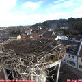 08_05-nest.jpg
