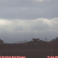 08_10-mast.jpg