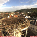 08_10-nest.jpg
