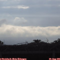 08_15-mast.jpg