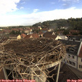 08_15-nest.jpg