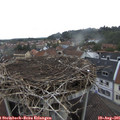 08_35-nest.jpg