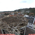 08_40-nest.jpg