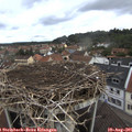 08_45-nest.jpg