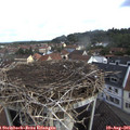 08_55-nest.jpg