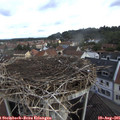 09_00-nest.jpg