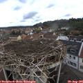 09_10-nest.jpg