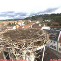 09_15-nest.jpg