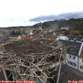 09_25-nest.jpg