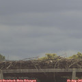 09_35-mast.jpg