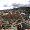 09_40-nest.jpg