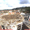 09_55-nest.jpg