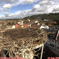 10_05-nest.jpg