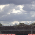 10_10-mast.jpg