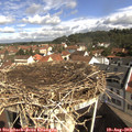 10_10-nest.jpg