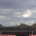 10_15-mast.jpg