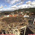 10_15-nest.jpg