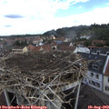 10_20-nest.jpg